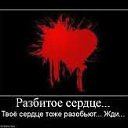 ���� �����, ���� - ��������� 4 ������ 2013 � ������ ���� ����������