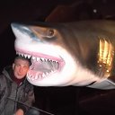 ���� ��������, �����-��������� - ��������� 22 ������� 2013 � ������ ���� ����������