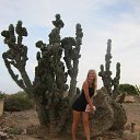 ���� ���������, ����� - ��������� 13 �������� 2013 � ������ ���� ����������