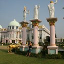  , -, 50  -  11  2014    2013