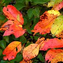 ���� �����, �����, 64 ���� - ��������� 30 ������ 2013 � ������ ��Ψ�