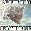 ���� ��������, ������, 42 ���� - ��������� 18 ������� 2014 � ������ ���� ����������