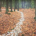 Ellie Davies ().   "  ".  . .     . 