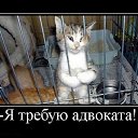 ���� Nick, ����, 65 ��� - ��������� 16 �������� 2013 � ������ ���� ����������