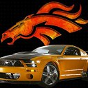 ���� Syndikat, ������, 31 ��� - ��������� 11 ������� 2014 � ������ ���� ����������