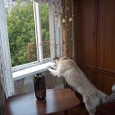 ���� ���������, ������, 75 ��� - ��������� 22 ������ 2013 � ������ ���� ����������