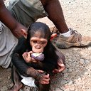  , , 63  -  2  2013     ༻