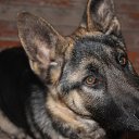 ���� ������, ������� - ��������� 21 ������� 2013 � ������ ���� ����������