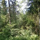 ���� ���������, ������-��-����, 63 ���� - ��������� 6 ������� 2013 � ������ ���� ����������