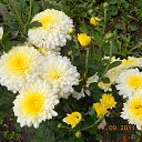 ���� �����, ������, 42 ���� - ��������� 29 ������ 2013 � ������ ���� ����������