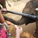 ���� ������, ������, 58 ��� - ��������� 26 ������� 2013 � ������ ���� ����������