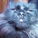 ���� ���������, �������, 62 ���� - ��������� 12 ������� 2013