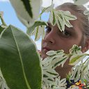 ���� �������, �������, 35 ��� - ��������� 22 ������� 2013