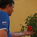 ���� ������, ��� - ��������� 15 ������� 2014 � ������ ���� ����������