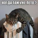 ���� �������, ��������, 46 ��� - ��������� 9 ������� 2014 � ������ ���� ����������