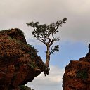 ���� Saeed, ������ - ��������� 31 ������ 2014 � ������ ���� ����������