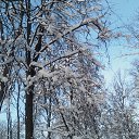 ���� ������, �����, 56 ��� - ��������� 5 ������� 2013 � ������ ���� ����������