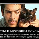 ���� ����, ���������� - ��������� 28 ������ 2013 � ������ ���� ����������