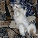 ���� E������, ������, 48 ��� - ��������� 29 ������� 2013 � ������ ���� ����������