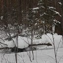 ����� �������� �� ������� ������� ���2014�