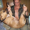 ���� �������� �����������, �������� - ��������� 15 ������� 2013 � ������ ���� ����������