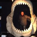 ���� ��������, �����-��������� - ��������� 22 ������� 2013 � ������ ���� ����������