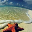 ���� Alex-ey, ������ - ��������� 26 �������� 2013 � ������ ���� ����������