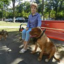 ���� ��������, �����������, 63 ���� - ��������� 20 ������� 2013 � ������ ���� ����������