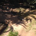 ��������, � �� ��������. �� ������� ���� ����������