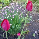 ���� ��������, ���������, 62 ���� - ��������� 25 ������� 2013 � ������ ���� ����������