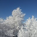 ���� ��������, ������, 64 ���� - ��������� 4 ������� 2014 � ������ ������ ��������