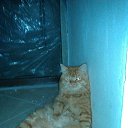 � ���... ����������, �����, ������� � ���������� ��� ������������ ... :))) �� ������� ����