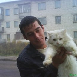 ���� �������, ������ �������� - ��������� 20 ������� 2013