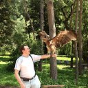 ���� ���������, ������, 52 ���� - ��������� 22 �������� 2013 � ������ ��������� ������