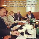 ���� �������, ����������� - ��������� 8 ������� 2013 � ������ ��������� ��������