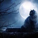 ���� �������, ����-����������� - ��������� 19 ������� 2013