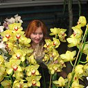 ���� ������, �����, 57 ��� - ��������� 9 ������� 2014 � ������ ���� ����������