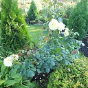 ���� ����, ������ �������� - ��������� 20 ������� 2013 � ������ ���� ����������