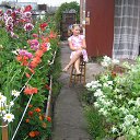 �������� �� ������� ����� ��� ������������