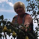 ����� ������- �����!