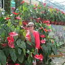 ���� �����, ������, 64 ���� - ��������� 1 ������� 2013 � ������ ���� ����������