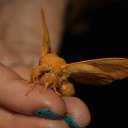 ��� ����� ������� �� ������� ���� ��������������..�