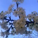 ���� �������, ����� - ��������� 20 ������� 2014 � ������ ��� ��� ������ ���