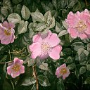 ��������, ����, ����� �� ������� ���� ����������