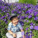 ���� �������, ����� - ��������� 5 ����� 2014