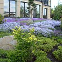 ���� ������ ����, ����, 44 ���� - ��������� 17 ������� 2013 � ������ �������� ������!�