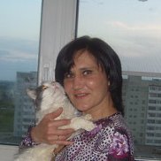 мила, , Сокол мила, , Сокол