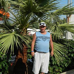 ����, ������, 65 ���