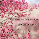 ���� ��������, ��������� - ��������� 3 ������� 2014 � ������ ���� ��� ��������� � ������....�