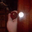 ���� Pit Piter, ������, 36 ��� - ��������� 24 ������� 2013 � ������ ��������� �����